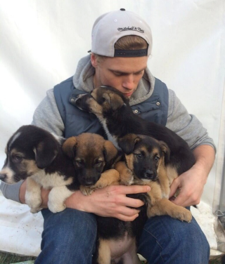 Illustration for article titled Olympic Skier Gus Kenworthy Found All The Puppies